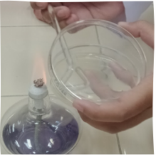 Spread plate method for viable colony counting